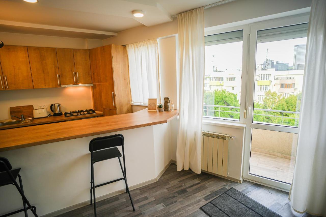 Penthouse With Huge Rooftop & Amazing City View Βουκουρέστι Εξωτερικό φωτογραφία