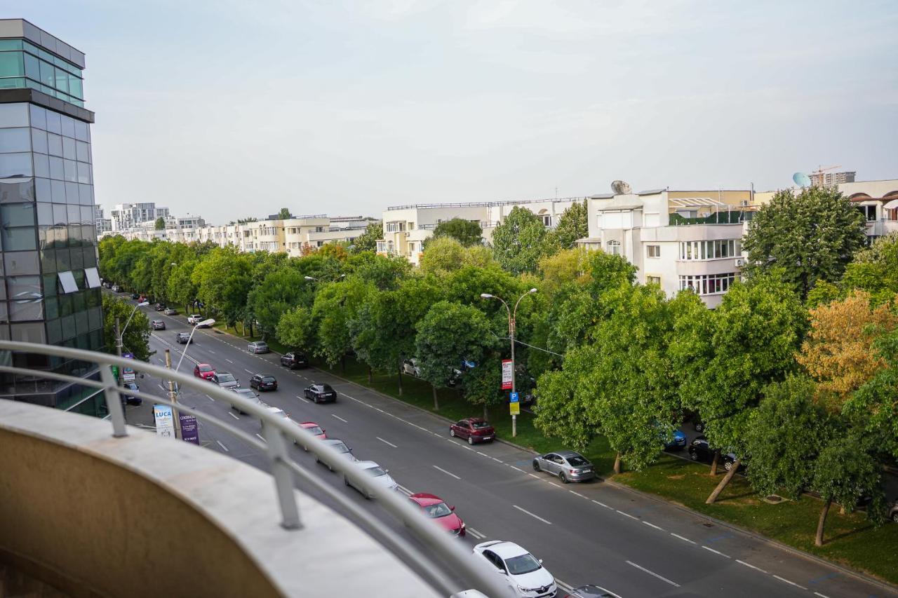 Penthouse With Huge Rooftop & Amazing City View Βουκουρέστι Εξωτερικό φωτογραφία